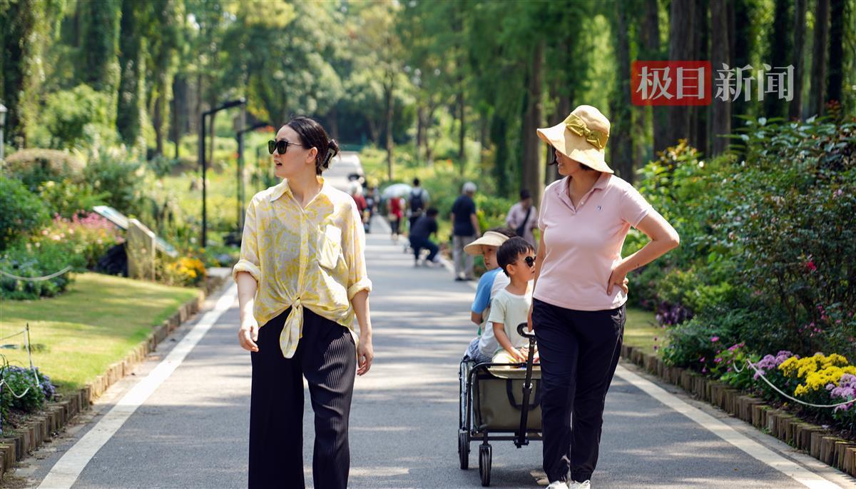大宝娱乐lg登陆